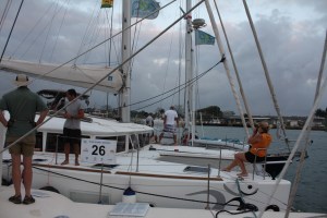 Maggie, OM and No Regrets in a "nest".