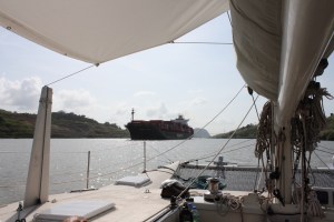 Next day cruising through Gatun Lake.