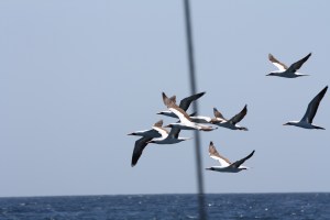 Traveling companions.