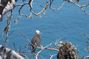 But if you climb up to their level...