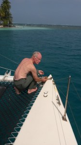 Bill attacks coconut.