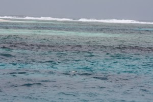 But in this heat we want all the wind we can get, so we anchor just behind the reef.  A little bumpy, but cooler and more private.  Thing in the water is Tim snorkeling.