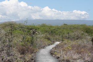 Rented a bike for $2/hr and rode here.