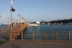 Puerto Ayora dock & water taxis.