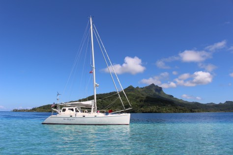 My new screen saver shot, perhaps...