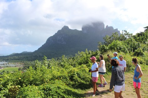 Nice to get up above sea level for a fresh perspective