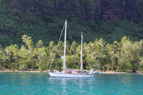 Libby in Opunopu Bay, Mo'orea