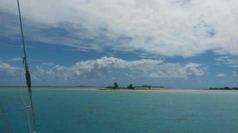 20150420_110359.jpg image