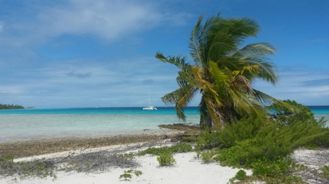 20150421_123150.jpg image