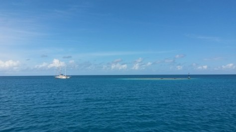 20150424_120322.jpg image