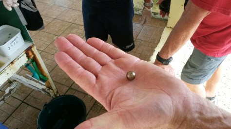 20150427_105525.jpg image