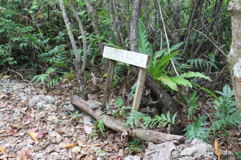 It's a long walk to the arches...