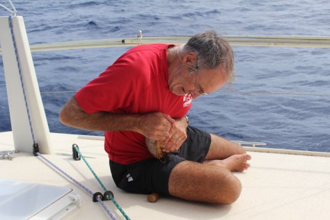 Bob versus the coconut