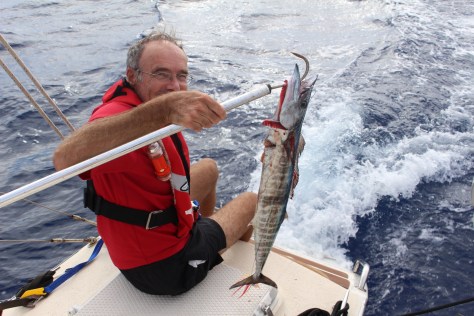 Yippee - it's not tuna, it's wahoo