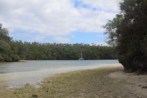 If it looks like we're only a boat length or two from shore, that's accurate. But we were assured that we were on a safe mooring.
