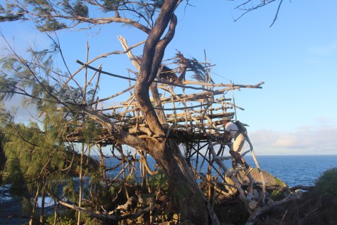 Lookout tower at #30