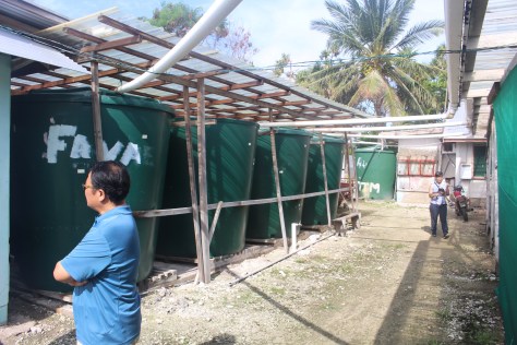 This is a Taiwanese foreign aid project. Rainwater is caught from the roof (as is done throughout Tuvalu) and used to grow foods in plots isolated from the salt-contaminated ground water. The foods are non-traditional for the island, like Chinese cabbage, but people queue up to buy the produce, and they can see how to grow it themselves.