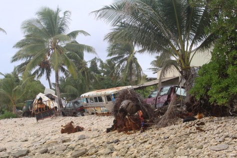 Storm barrier. (Need more trees planted.)