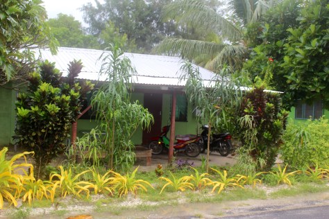 Everyone catches rain water off the roof, and yet I don't see pipes and tank for this house. Must be well hidden...