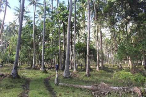 Day 2 - now we know the way