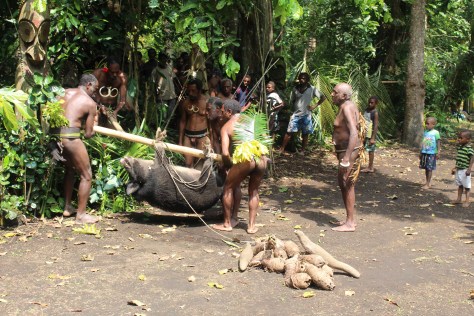 Chief Sekor (near the left, with two boar tusks to show his rank) presents gifts as part of his going for the next higher level of chief, includes cash publicly announced to various families, in addition to the more traditional (big!) pig and yams