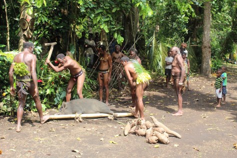 Traditional method of killing the pig