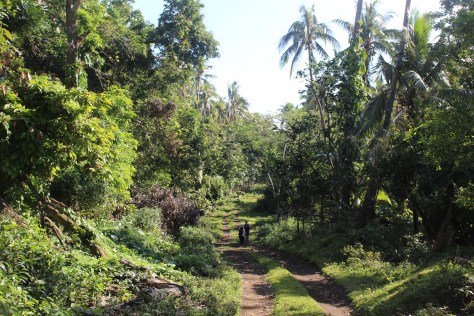 Two miles up the road...