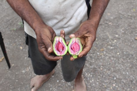 It remains a mystery to me. Whatever it is, it isn't ripe.