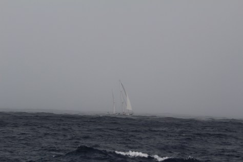 The beautiful first day out was gone by the time we caught up with Drina. She's not sinking; just a wave between us!