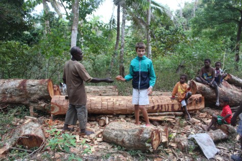 He gives Mirko a chip from the blue water tree.