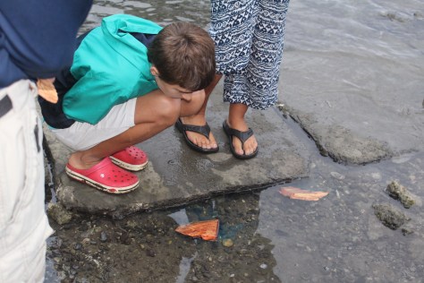 And we confirm that the blue water tree really does begin to turn water blue.