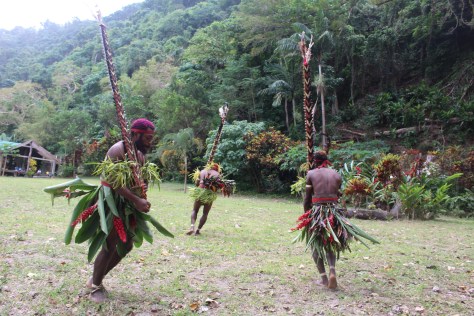 Each village has unique dances. The differences seem to be primarily in the costumes.