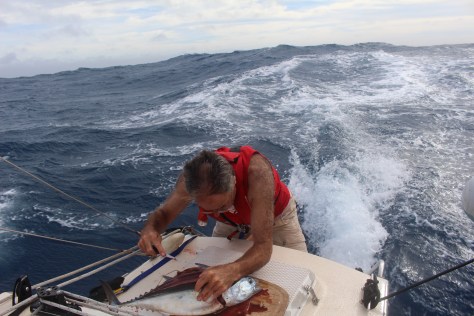 Holding on with his knees (but with safety harness properly clipped in, of course).
