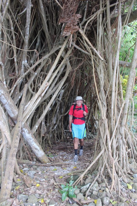 Heading back, it is good luck to walk through the banyan tree, and you're supposed to make a wish as well.