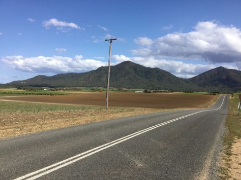 Sugar cane field for miles and miles inland from Mackay.