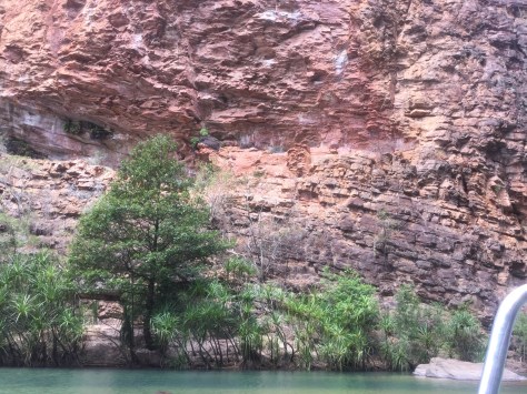 The ledge at treetop height was used as a camp for boys ~12 years old, where they would stay with some of the men for 3 months of skills training and initiation into manhood.