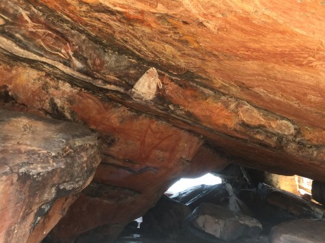 It's hard to stop with the rock painting photos. Just one more...