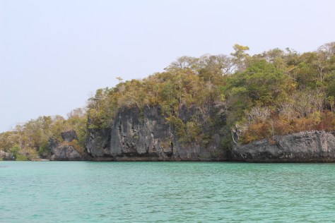 The swimming...and jumping...spot.