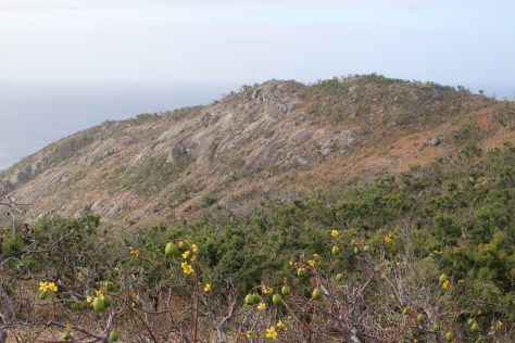 On the hike up to Cook's Lookout, where he spotted the offshore reefs from the summit