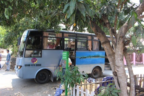 ...while most of us stick with the bus