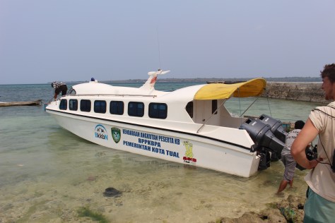 After waiting for the tide, we begin our boat tour. Not exactly a traditional local vessel, but pleasantly fast.