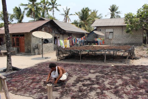 Drying seaweed (and clothes)