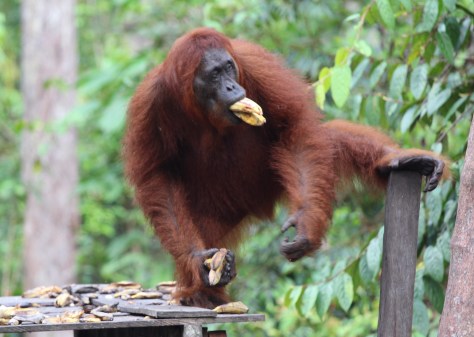 I'll take mine to go...