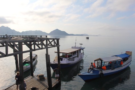 Morning gathering at the park