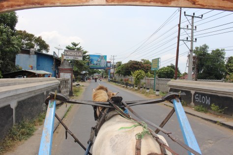 Many forms of public transportation in Lombok