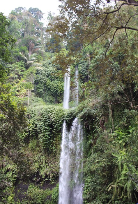 Waterfall #1