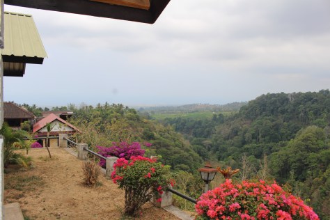 View from restaurant 