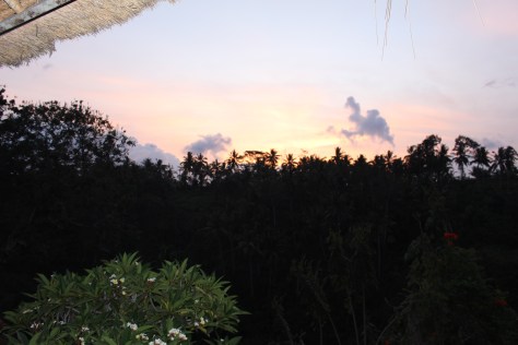 View from our villa in Ubud, Bali
