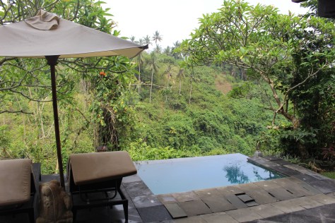 Our private jacuzzi/pool, overlooking a ravine, and we can hear the rush of the river below
