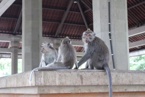 Good things come in threes